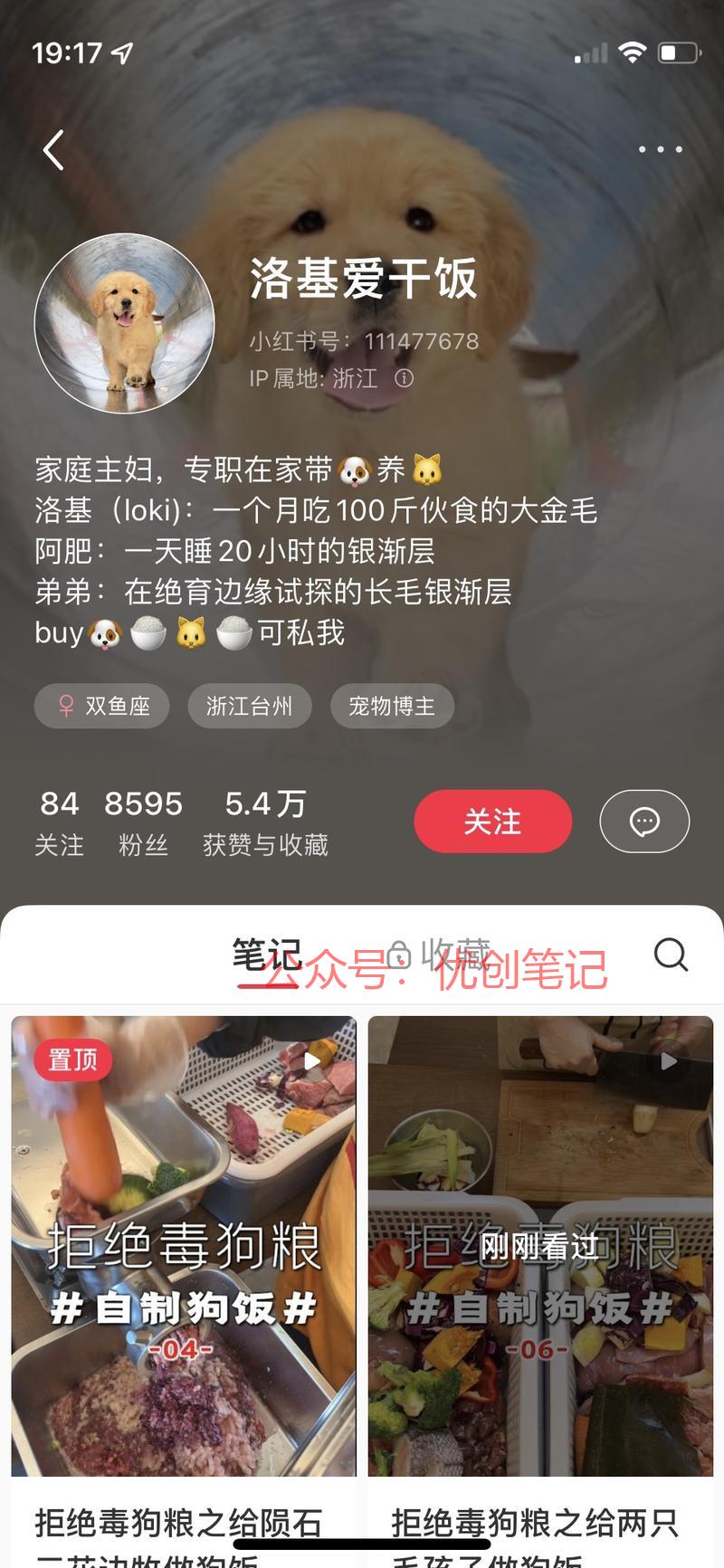 宠物烘焙赛道\\/宠物粮…#情报-搞钱线报📢论坛-网创交流-优创圈